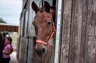 2025 m. akcijos "Atviros dienos kaime" rezultatai