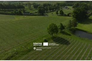 Parengtas baigiamasis Bascil projekto filmas