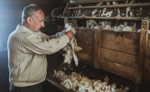 The craft of wool carding