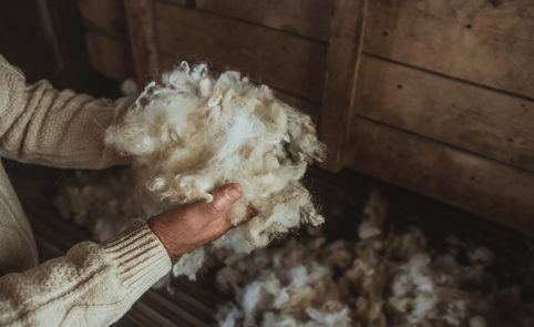 The craft of wool carding