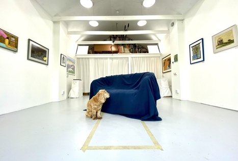 Sodyba „Žiogeliai“