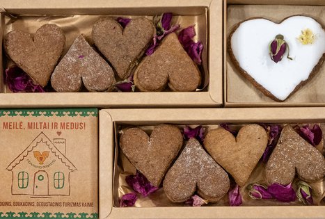 Association "Džiaugsmo dirbtuvės"