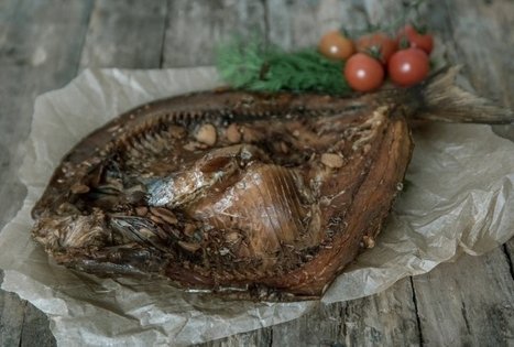 Žuvies kelias