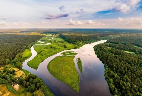 Merkinės fabrikas