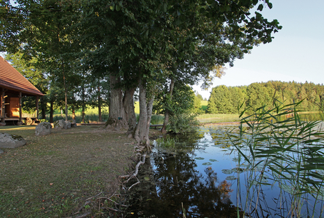 Sodyba „Butkeliai“