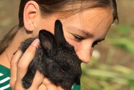 Teatralizuotos šventės vaikams