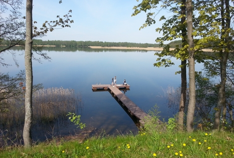 Homestead "Ant Sartų bangų"