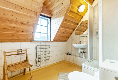 Vilijos Čepulienės sodyba