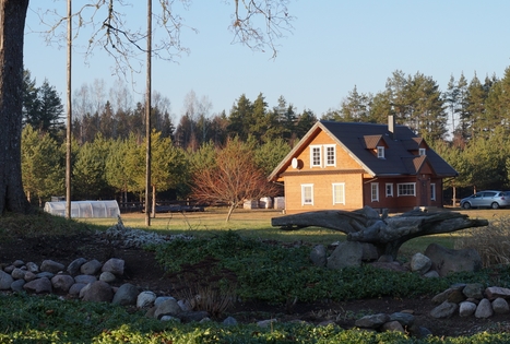 Vilijos Čepulienės sodyba