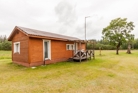 Vilijos Čepulienės sodyba