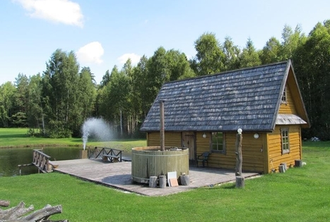 Vilijos Čepulienės sodyba