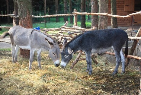 Traditional dishes at HBH recreation and entertainment complex