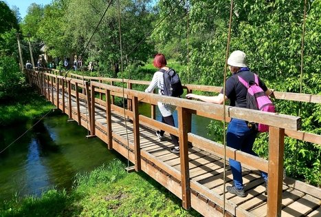 Ekskursijų/kelionių/žygių po Lietuvos gamtą organizavimas
