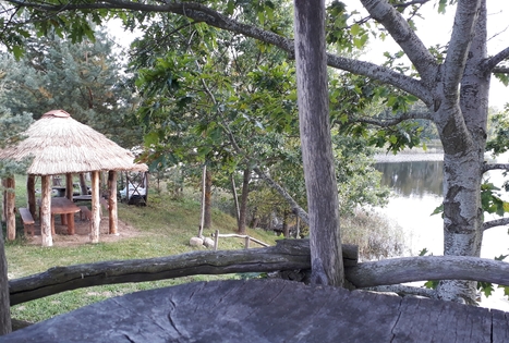 Homestead "Geltonžiedė liepa"