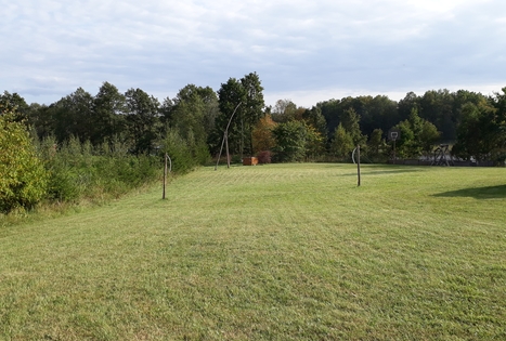 Homestead "Geltonžiedė liepa"
