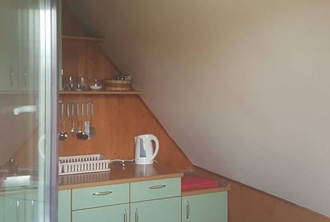 Homestead of Nijolė and Henrikas Zubrickiai 