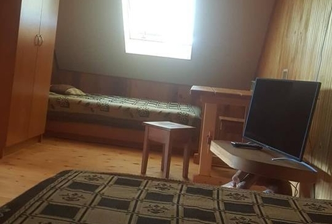 Homestead of Nijolė and Henrikas Zubrickiai 