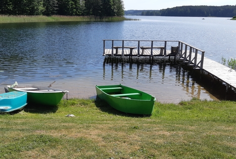 Homestead of Nijolė and Henrikas Zubrickiai 