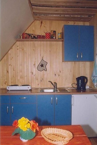 Homestead of Nijolė and Henrikas Zubrickiai 