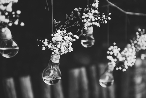 „Petrauskų sodyba“