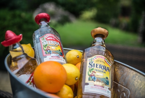 „Petrauskų sodyba“