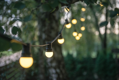 „Petrauskų sodyba“