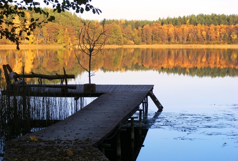 Homestead "Atostogos Grybiškėje"