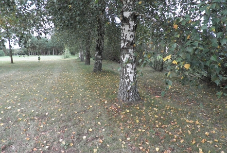 Homestead "Gintagnė"