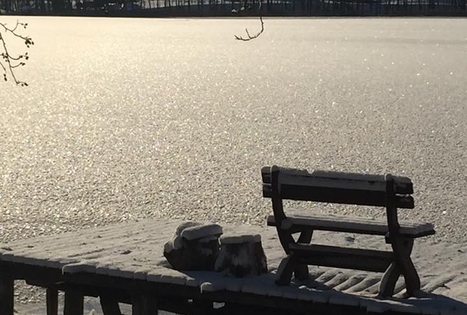 „Emilijos sodyba“