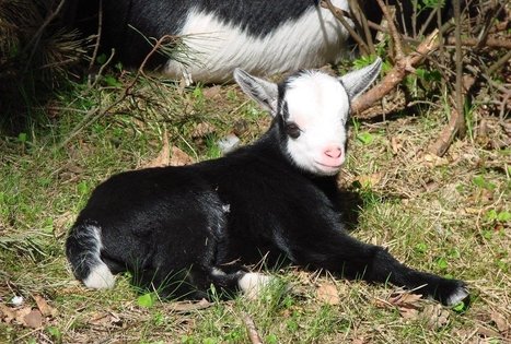 Traditional dishes at HBH recreation and entertainment complex