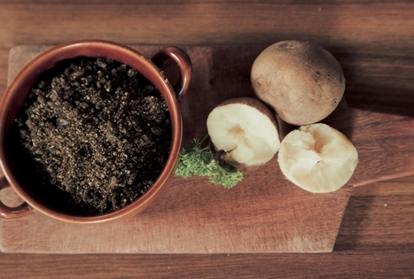 Kanapių spirgynė „Bernelių užeigoje“