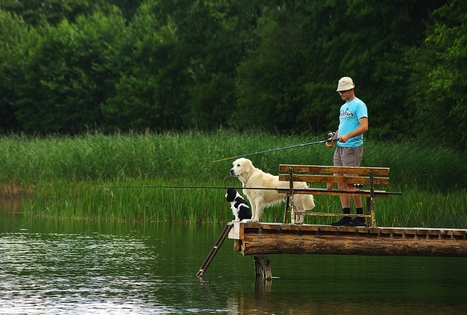 Sodyba „Latkrantė“