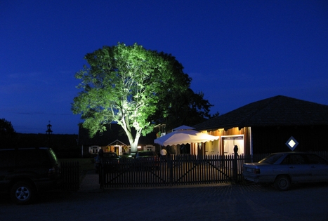 Homestead "Mockynė"