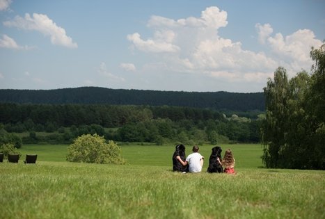 Homestead "Mockynė"