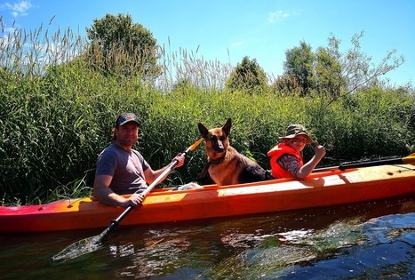 Plaukimas baidarėmis Minijos upe