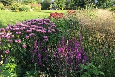 Sodyba „Karvio Dvaras“