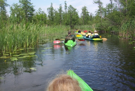 Sodyba „Antanėlio sapnas“