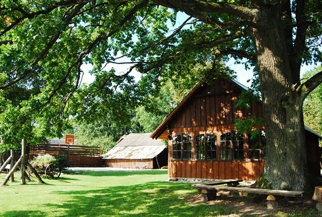 Homestead "Kukarskė"