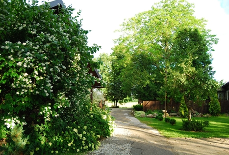 Homestead "Kukarskė"