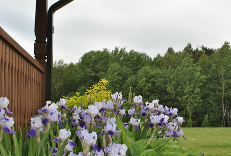 Sodyba „Girelė“