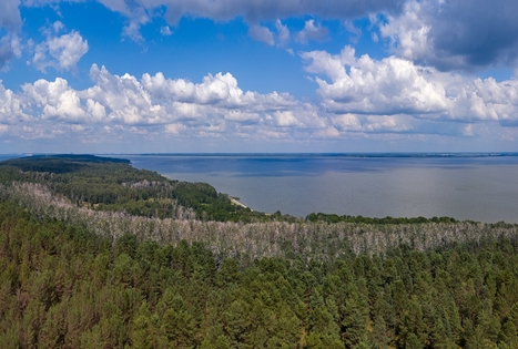 Kuršių nerija: unikalus smėlio kopų pusiasalis