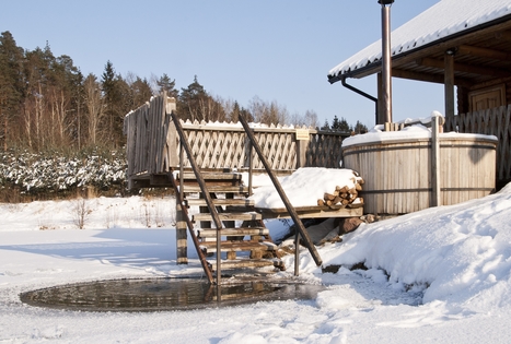 Homestead "Ažpurvinė"