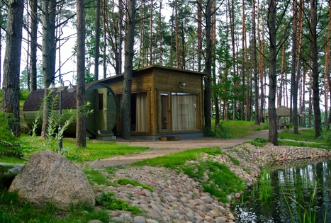 Homestead "Margio krantas"