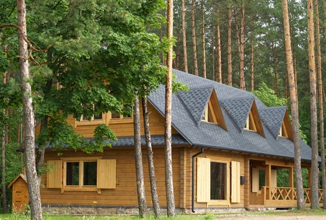 Homestead "BEBRYNĖ prie Luodžio"