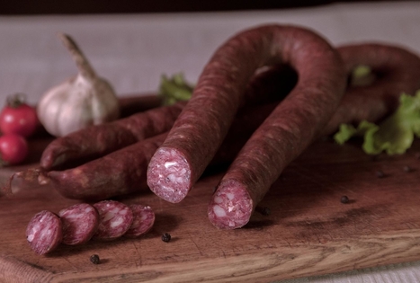 Vytinta dešra pas Žilius