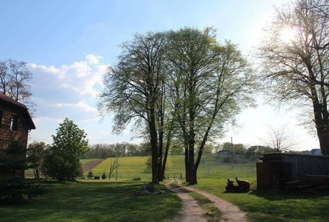 Homestead "Bučkalnis"