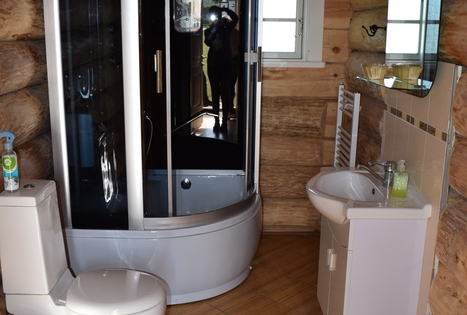 "Auksinio elnio dvaras"