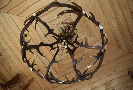 "Auksinio elnio dvaras"