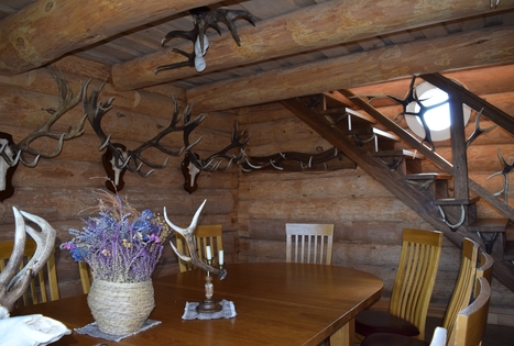 "Auksinio elnio dvaras"