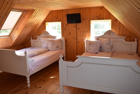 "Auksinio elnio dvaras"